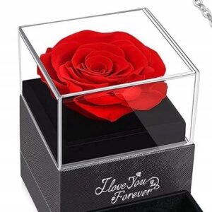 Wieczna Róża w Szkle z Naszyjnikiem Prezent Na Walentynki